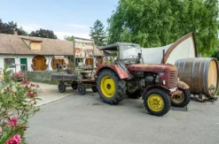 Übernachtung im Weinfass für 4 Grub an der March