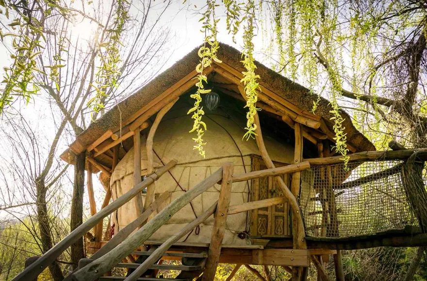 Übernachtung in der Baumhaus-Nomade für 2 (1 Nacht)