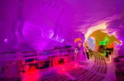 Übernachtung mit Käsefondue im 4er-Iglu