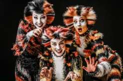 Best of Musicals Northeim