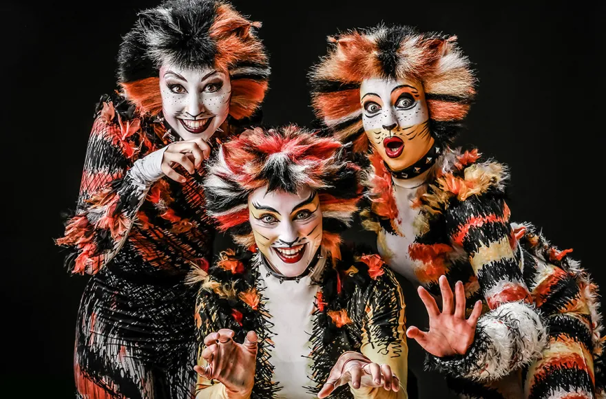 Best of Musicals Northeim