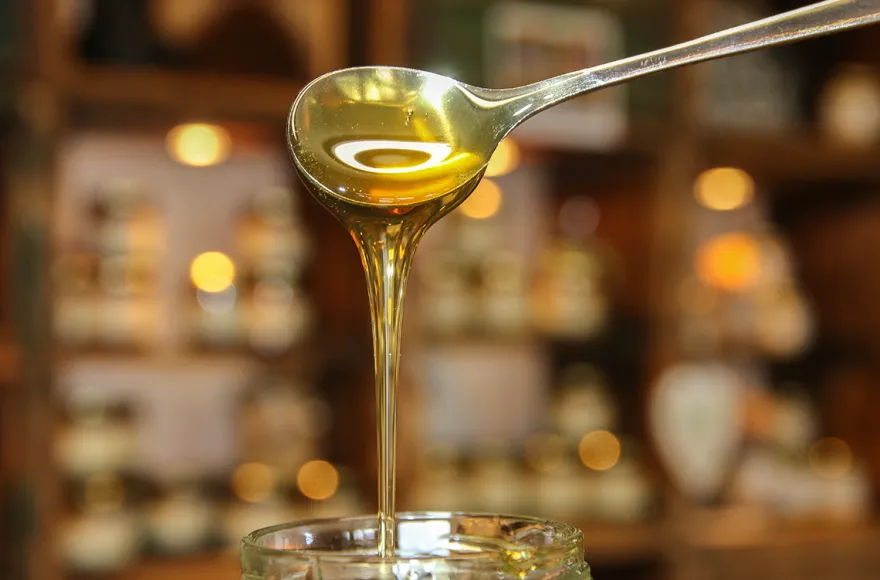 Bienenseminar mit Verkostung für 2 Bühl