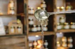 Bienenseminar mit Verkostung Bühl