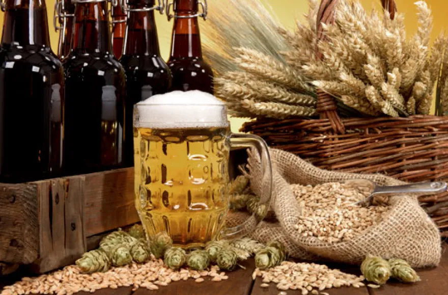 Bier brauen in Fürstenfeld