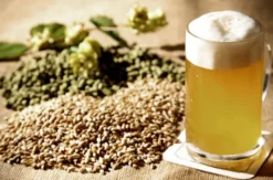 Bier brauen in Fürstenfeld
