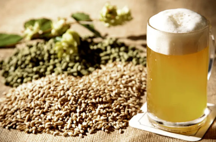 Bier brauen in Fürstenfeld
