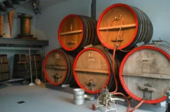 Bier Tasting Kulmbach
