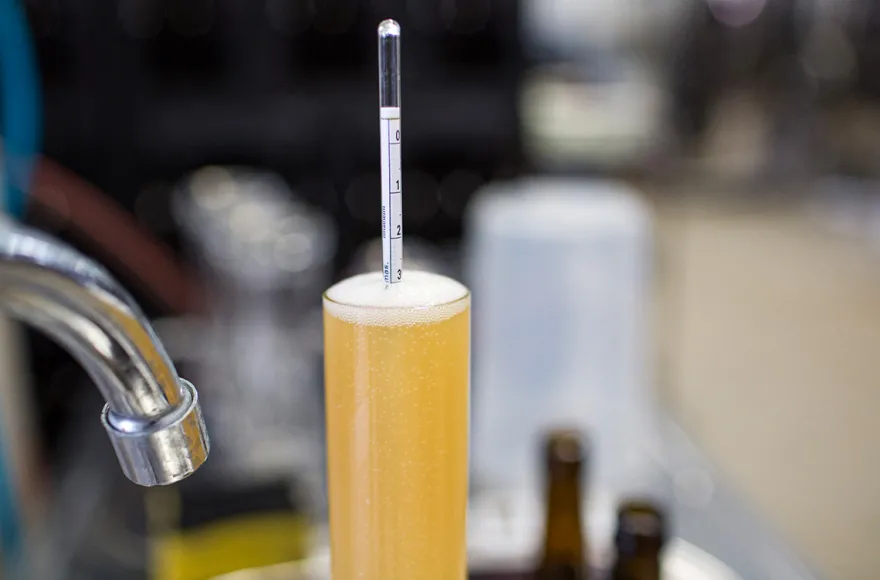 Bio-Bier Braukurs in München