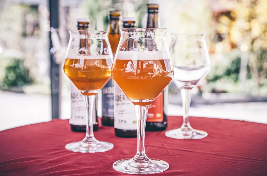 Bio-Bier Braukurs in München