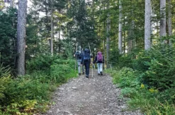 Bogenschießen Bad Peterstal-Griesbach