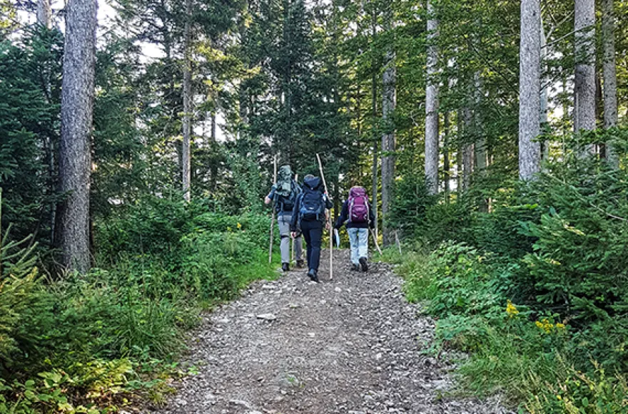 Bogenschießen Bad Peterstal-Griesbach
