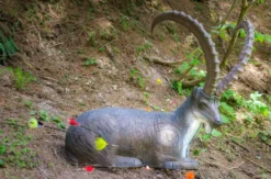 Bogenschießen Hintermoos