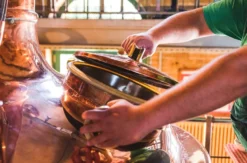 Braukurs Berlin mit Verkostung und Essen