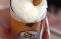 Braukurs Kulmbach