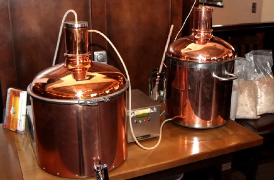 Brauseminar