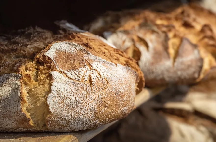 Brotback-Kurs Sulzemoos