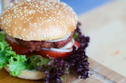 Burger Grillkurs