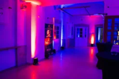 Burlesque Show Heidelberg