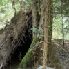 Bushcraft Camp Bad Peterstal-Griesbach