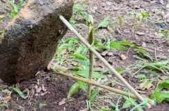 Bushcraft Kurs Raum Stuttgart