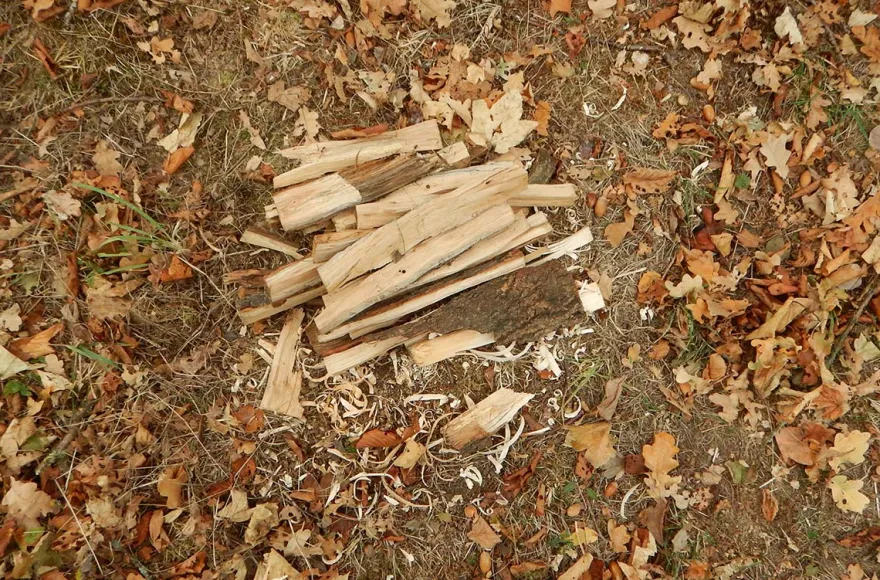 Bushcraft Kurs Sprakensehl
