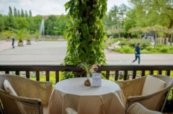 Candle Light Dinner Bad Schmiedeberg