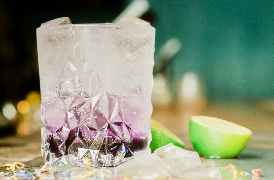 Cocktailkurs Master Mixology Heidelberg