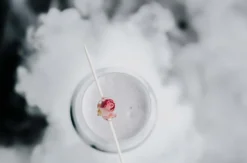 Cocktailkurs Master Mixology Heidelberg