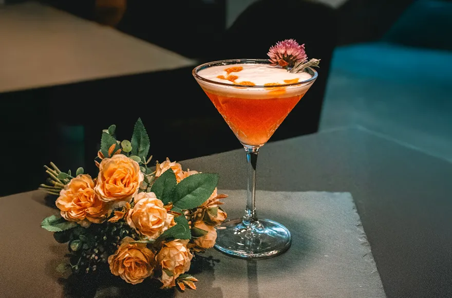 Cocktailkurs Paderborn (Aperitif)