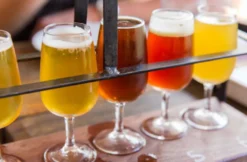 Craft Beer Seminar mit Brotzeit