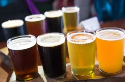 Craft Beer Seminar mit Brotzeit