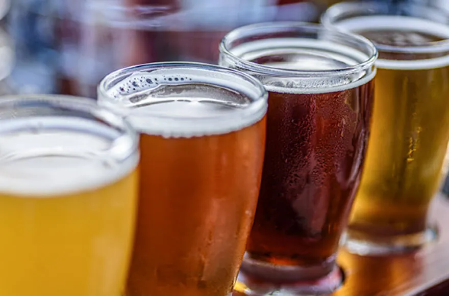 Craft Beer Tasting im Dunkeln in Wetzlar