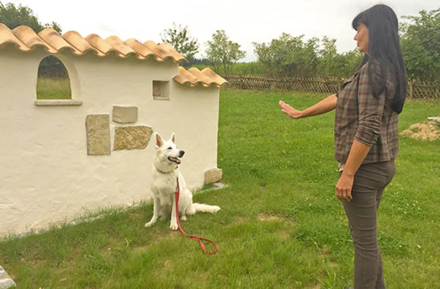 Crash-Kurs in der Hundeschule bei Traunreut