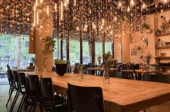 Creative Table Dinner Experience Stuttgart für 2 (vegan)