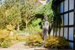 Day Spa Linstow für 2