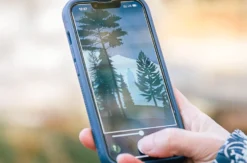 Digitale Schnitzeljagd (Der Wunderwald)