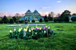 Digitale Stadtführung Wien Schönbrunn (1,5 Std.)