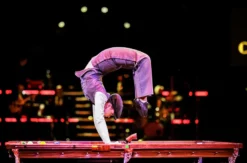 Dinnershow Leipzig (Nov.-Jan., Fr./Sa./Feiertag, PK 2)