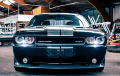 Dodge Challenger Tagestour Osdorf