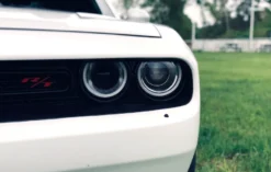 Dodge Challenger Tagestour Thale