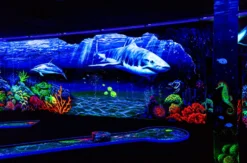 3D Schwarzlicht Minigolf Schwäbisch Gmünd