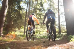 E-Bike-Tour Michelstadt