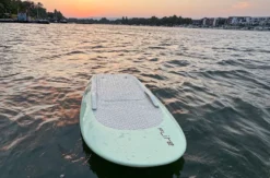 E-Foil Kurs Wiesbaden