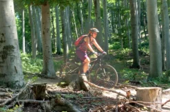 E-Mountainbike Tagestour Wien