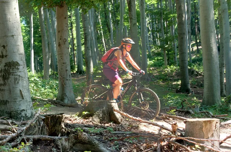 E-Mountainbike Tagestour Wien