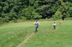 E-Mountainbike Tour Wien (4 Std.)