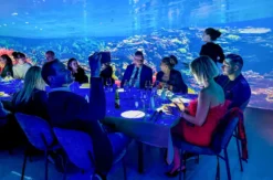 Erlebnisdinner Wien