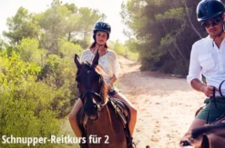 Erlebnis-Mix 'Tierische Abenteuer'