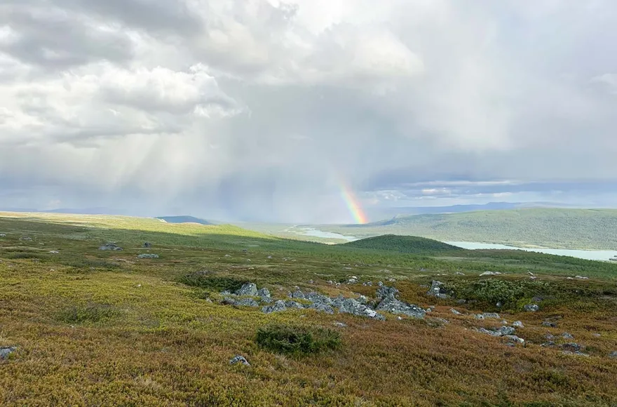 Erlebnisreise Expeditionstrekking in Nordschweden (9 Nächte)