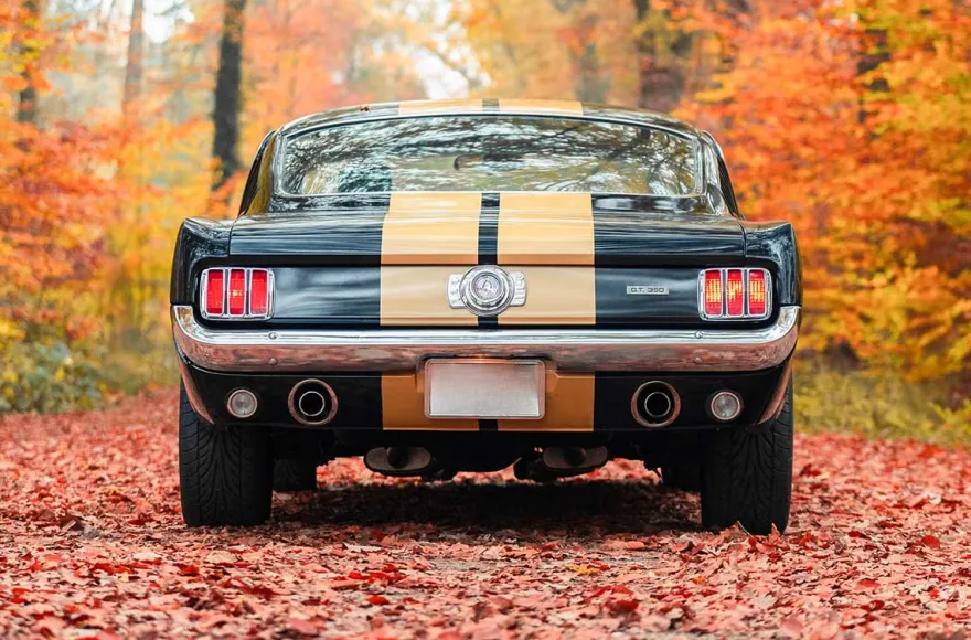 1966er Mustang Fastback fahren Hamburg (8 Std.)